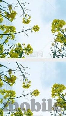 九游大厅软件游戏大厅下载app优化-九游大厅软件，游戏爱好者的一站式娱乐平台
