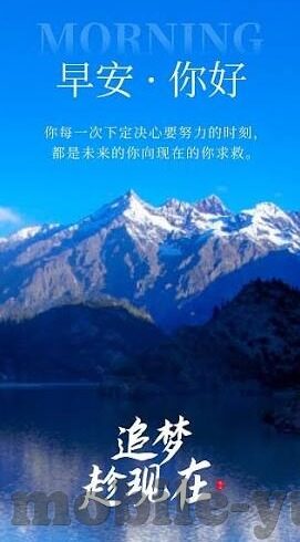 足球比分网即时比分新闻-足球比分网即时比分新闻，绿茵场上的实时脉搏