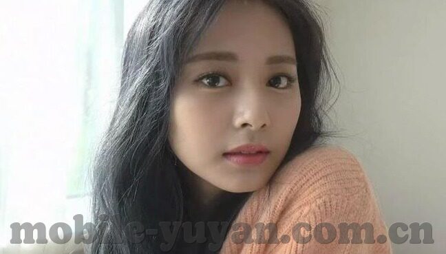 足球菲律宾vs中国比分-绿茵烽火再燃，菲律宾VS中国比分背后的竞技风云与情感交织